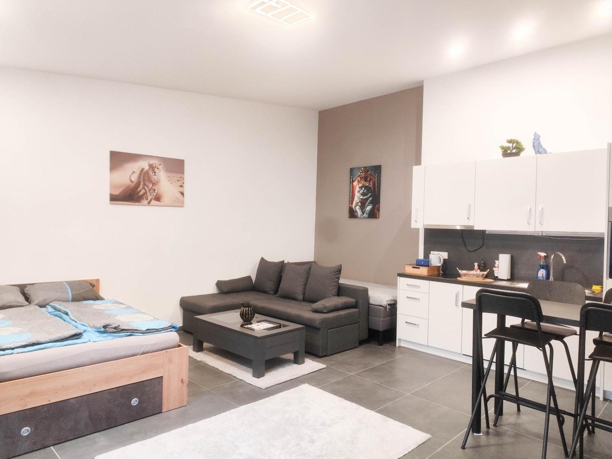 Cozy Apartments In Central Location With Free Parking Vienna Esterno foto