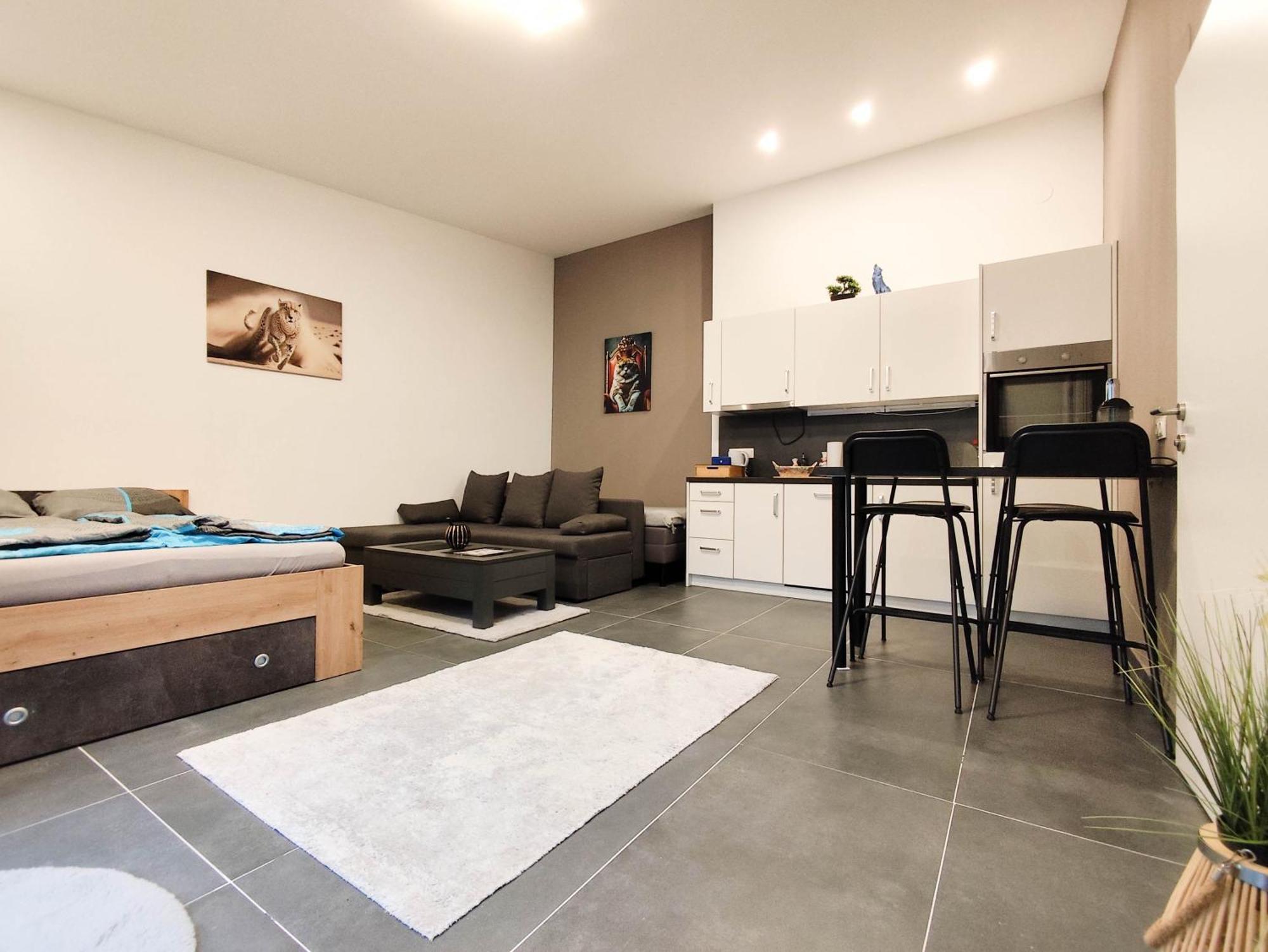 Cozy Apartments In Central Location With Free Parking Vienna Esterno foto